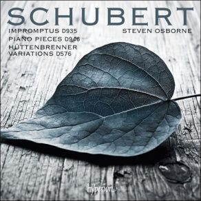 Download track 08 Variations On A Theme By Anselm Hüttenbrenner, D576 Franz Schubert