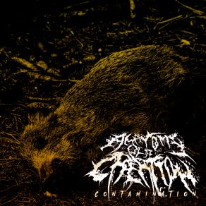 Download track Extermination Process Anatomy Of A Creation