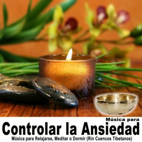 Download track Controlar La Ira (Rin Cuencos Tibetanos) Controlar La Ansiedad