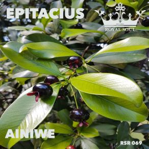 Download track Ainiwe EpitaciusGuiselini