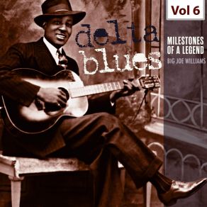 Download track Somebody's Been Worryin' Big Joe Williams