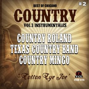 Download track Cotton Eye Joe Country Roland