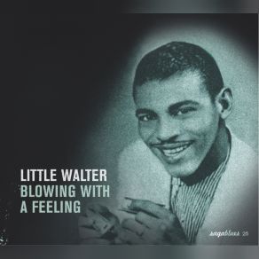 Download track 18. Joliet Blues Little Walter