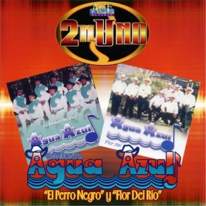 Download track El Aguacero Conjunto Agua Azul