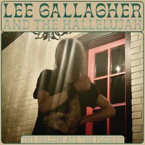 Download track Haymaker Hallelujah, Lee Gallagher