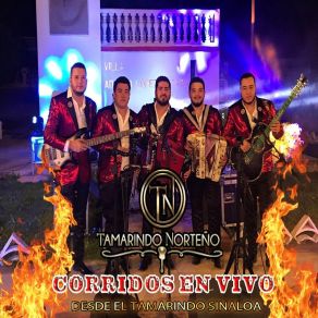 Download track Los Apodos Del Mayo (En Vivo) Tamarindo Norteño