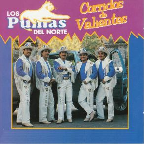 Download track Tabaco Verde Los Pumas Del Norte