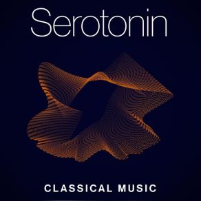 Download track Piano Concerto No. 2 In C Minor, Op. 18 II. Adagio Sostenuto (Excerpt) Simon Rattle