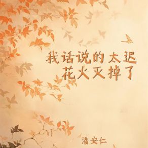 Download track 我话说的太迟 花火灭掉了 (吉他版) 潘安仁