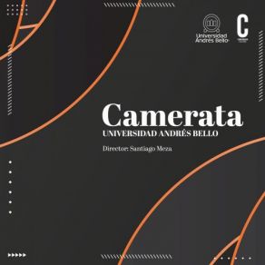 Download track Sinfonía No. 29, K. 201: I. Allegro Santiago Meza, Camerata UNAB