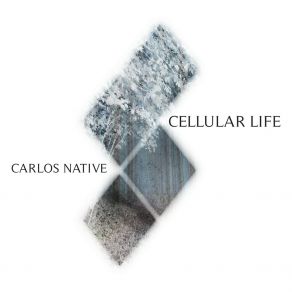 Download track Cellular Life III Carlos Native