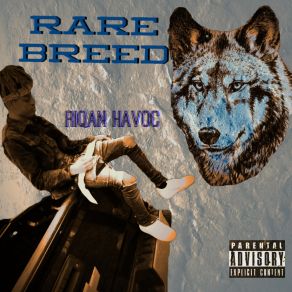 Download track Free Strike Riqan Havoc