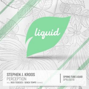 Download track Perception (Rick Tedesco Remix) Stephen J. Kroos