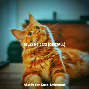 Download track Cheerful (Cute Kittens) Music For Cats Ambience