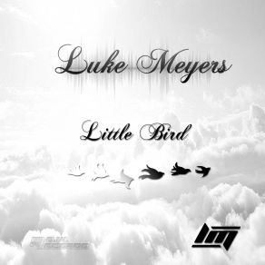 Download track Little Bird Luke Meyers