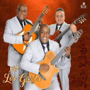 Download track Agüita Cristalina Trio Los Garles