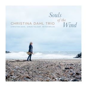 Download track Sallow Subtones Christina Dahl, Peter Bruun, Christina Dahl Trio, Simon Toldam