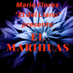 Download track El Parrandero Mario Flores El Del Llano