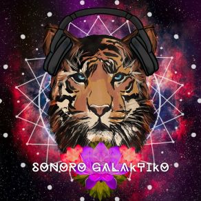 Download track Nueve Universo Sonoro Galáktiko