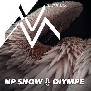 Download track C17H21No4 (Live) NP Snow