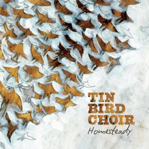 Download track Take Me With You When You Go Tin Bird Choir