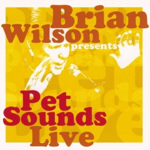 Download track You Still Believe In Me Brian Wilson