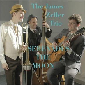 Download track Lookin' At The World Through Rose Colored Glasses James Zeller Trio