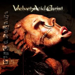 Download track Why Am I Here Velvet Acid Christ