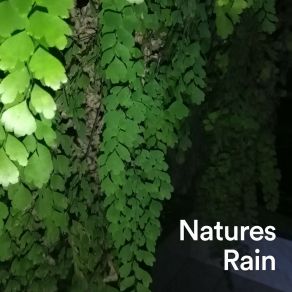 Download track Soundscapes Of Nature Melodies, Pt. 12 Thunderstorm