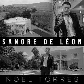 Download track Sangre De Léon Noel Torres