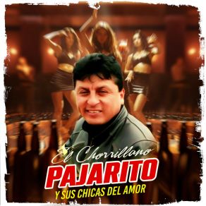 Download track Perdóname Pajarito