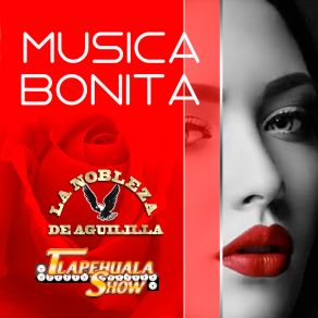 Download track El Atol De Elote Tlapehuala Show