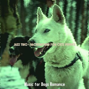 Download track Subdued Moods For Training Dogs Music For Dogs Romance