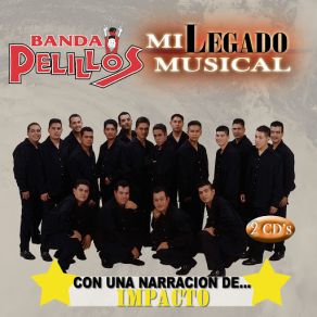 Download track El Baile De Pelillos Banda Pelillos