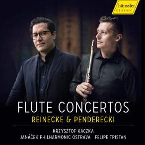 Download track Concerto For Flute And Chamber Orchestra - Andante Krzysztof Kaczka, Janacek Philharmonic Ostrava