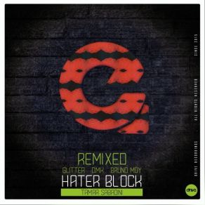 Download track Hater Block (Original Mix) Tamar Sabadini