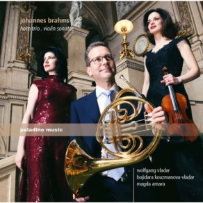 Download track Horn Trio E-Flat Major, Op. 40: II. Scherzo: Allegro-Molto Meno Allegro-Allegro Wolfgang Vladar, Magda Amara, Bojidara Kouzmanova-Vladar