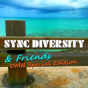 Download track Waiting In Paradise Sync Diversity