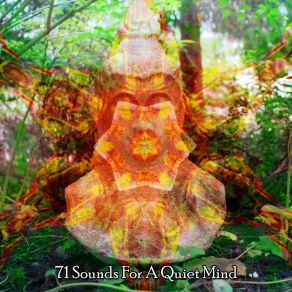 Download track Lost In The Forest Asian Zen Spa Music Meditation