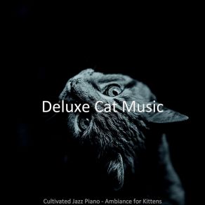 Download track Grand Backdrops For Kittens Deluxe Cat Music