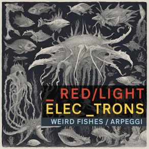Download track Weird Fishes / Arpeggi (Instrumental) Redlight Electrons