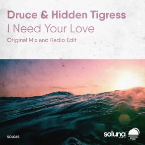 Download track I Need Your Love (Radio Edit) Druce, Hidden Tigress