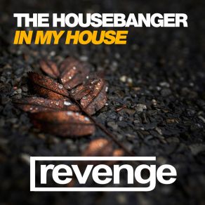 Download track In My House (Dub Mix) The Housebanger