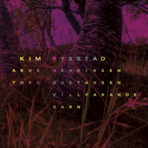 Download track Langt Inn På Ville Heii' Arve Henriksen, Tord Gustavsen, Kim Rysstad