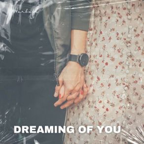 Download track Dreaming Of You (Radio Edit) Harboll