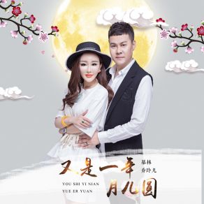 Download track 又是一年月儿圆 (DJ版) Lin Bao