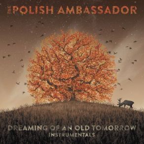 Download track Never Coming Down (Instrumental) The Polish Ambassador