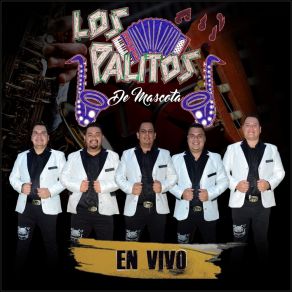 Download track Tierra Mala (En Vivo) Los Palitos De Mascota