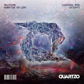 Download track Purpose Of Life (Radio Edit) Madtone