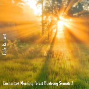 Download track Enchanted Morning Forest Birdsong Sounds, Pt. 2 Steve Brassel